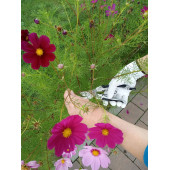 Секатор YT-8790 универсальный 200 мм YATO