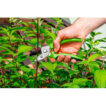 Секатор 15G201 с наковаленкой 190 мм, d-10 мм, тефлон, лезвие 41 мм VERTO-1