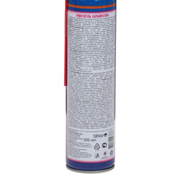 Очиститель карбюратора Авто мастер, 300 мл, 405 см3-1