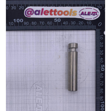 Поршень 118820913/0 в комплекте-1