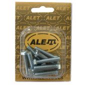 Болт шестигранный 6х30 мм, уп 10шт. (блистер)