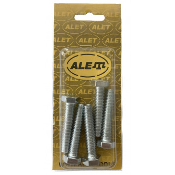 Болт шестигранный 10х50 мм, уп 5шт. (блистер) Болт шестигранный 10х50 мм, уп 5шт. (блистер)