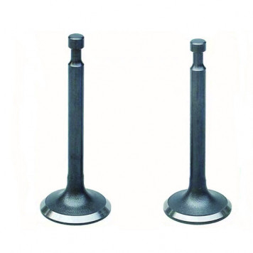 КЛАПАНЫ ВПУСКНОЙ/ВЫПУСКНОЙ GX 160/INTAKE; EXHAUST VALVES, KIT КЛАПАНЫ ВПУСКНОЙ/ВЫПУСКНОЙ GX 160/INTAKE; EXHAUST VALVES, KIT