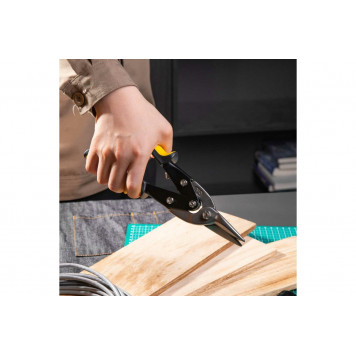 Ножницы DL20030 по металлу прямые 250мм Deli-3