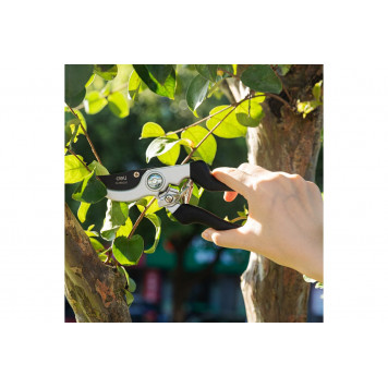 Секатор DL580203 210мм D-15мм Deli-12