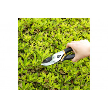 Секатор садовый DL580204 лезвия с тефлоновым покрытием, 200мм, Deli-9