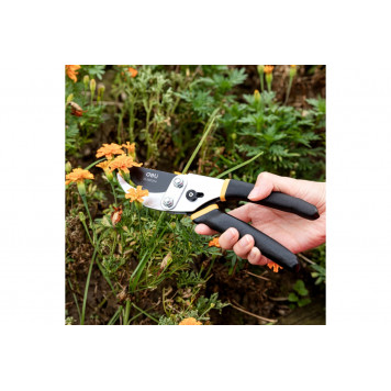 Секатор садовый DL580204 лезвия с тефлоновым покрытием, 200мм, Deli-12