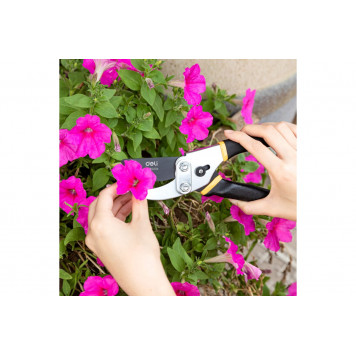 Секатор садовый DL580204 лезвия с тефлоновым покрытием, 200мм, Deli-11