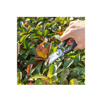 Секатор садовый DL580200, 205мм, Deli-11