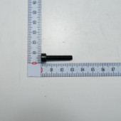 Винт 341058101102 натяжения цепи M5 x 25 EINHELL