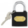 Замок навесной DL508902 стальной 38 мм Deli
