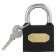 Замок навесной DL508903 стальной 50 мм Deli