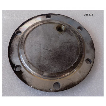 Крышка 036515 корпуса вибратора TSS-VP120TL/H (C150T-3)/Stuffy cover-1