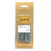 Блистер Винт WPM 4.0х12 с полной резьбой, уп 20шт. DIN 967 №1