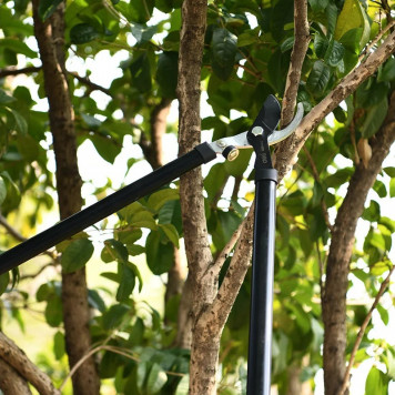 Н-р DL580002 сучкорез + секатор лезвия с тефлоновым покрытием, длина 75/21 см Deli-8