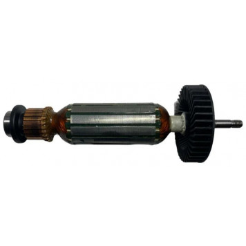 Якорь 310010710 в сборе230V