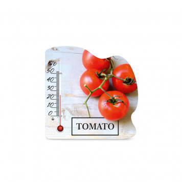 Сувенир Термометр П-21 комн.,магнит-2